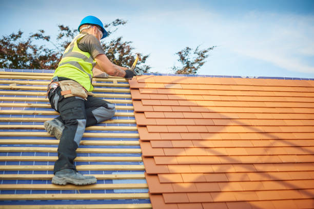 Best Roof Coating and Sealing  in Brewster, OH